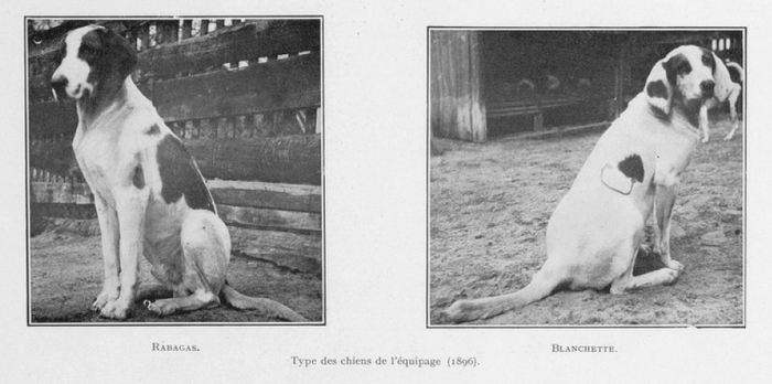 Tiré de l'ouvrage L'Equipage du marquis de Chambray par Maurice de Gasté (1926) - 4